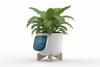 No More "Plant Killers": How 2026 AI Smart Pots are Finally Reading Your Plant's Mind