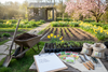 A Beginner's Guide to Spring Gardening: March to May Prep
