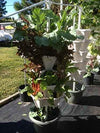 (12) LARGE Stackable Planters Planters - Use Mr Stacky Pots with any Grow Medium - Great For Soil Gardening, Hydroponics, and Aquaponics - Build Your Own Large Stacking Container Garden System - For Growing Strawberry, Vegetable, Herbs, Lettuce, Pepper...