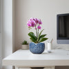 Orchid Pot - 6 Inch Ceramic Plant Pot for Indoor Outdoor, Round Unique Planters with Drainage Hole, Modern Round Decorative Flower Pots, Home Decor, Gifts for Plant Lovers, Blue