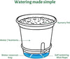 20 Pack 5 Inch Clear Self Watering Plant Pots with Bottom Water Tray & Watering Rope, Transparent Nursery Pots with Drainage for Seedlings, Herbs, and Houseplants