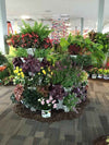 (12) LARGE Stackable Planters Planters - Use Mr Stacky Pots with any Grow Medium - Great For Soil Gardening, Hydroponics, and Aquaponics - Build Your Own Large Stacking Container Garden System - For Growing Strawberry, Vegetable, Herbs, Lettuce, Pepper...