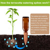 12 Pcs Self Watering Spikes Small Terracotta Plant Watering Stakes Devices Vacation Self-Watering Stakes for Indoor/Outdoor Plants - DGrove