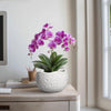 Ceramic Plant Pot - 8 Inch Round Planter with Drainage Hole, Decorative Plant Pots for Indoor Outdoor Plants, Modern Unique Flower Pots, House Living Room Decor, Housewarming Gifts, White