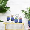 Gepege Succulent Pots, 4 Inch Small Indoor Ceramic Planter Pot with Drainage Holes and Saucers for Plants- Blue - Set of 4