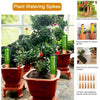 Plant Watering Spikes 12 Pack,Terracotta Plant Watering Spikes Wine Bottle Automatic Plant Waterer for Watering Indoor and Outdoor Plants While on Vacation - Plant Perfect Self-Watering Device - DGrove