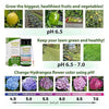 Garden Tutor Soil pH Test Kit – 100 Strips with AI-Powered Web Reader – Accurate Testing for Lawn, Garden & Compost – pH 3.5–9