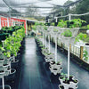 (6) DIY LARGE 18" Stackable Planters - Vertical Gardening Pots With Soil, Hydroton, Vermiculte, Perlite, or Coco Fiber - Perfect for Hydroponics and Aquaponics Too - Build Your Own Stacking Vertical Container Gardening System - For Growing Strawberries...
